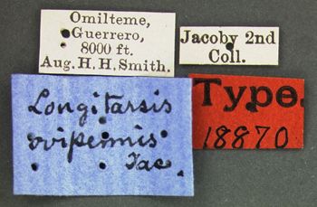 Media type: image; Entomology 18870   Aspect: labels